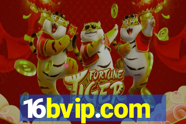 16bvip.com