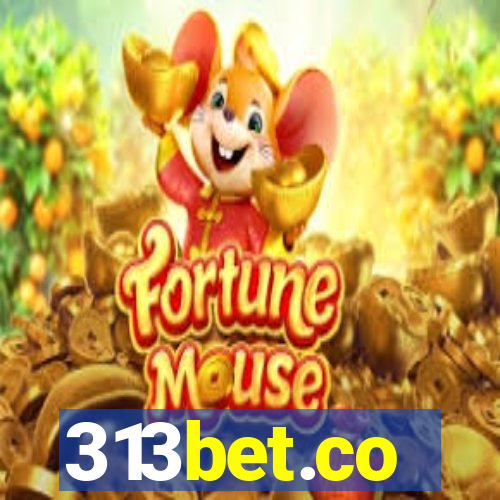 313bet.co