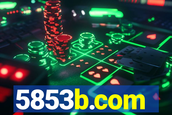 5853b.com