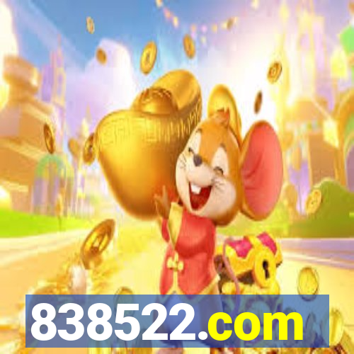 838522.com