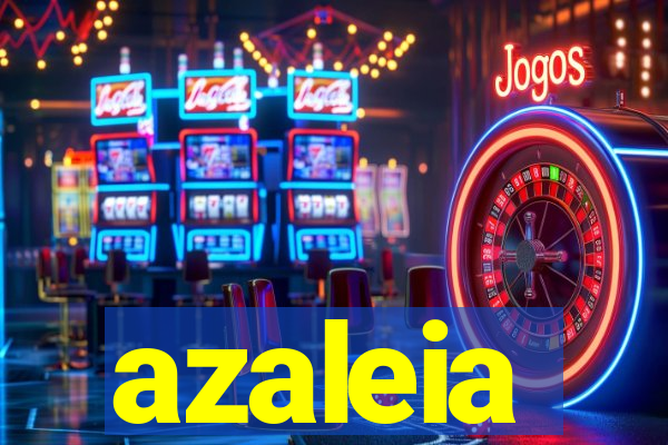 azaleia-br.com