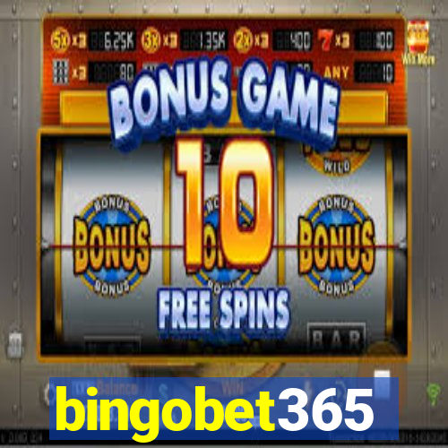 bingobet365