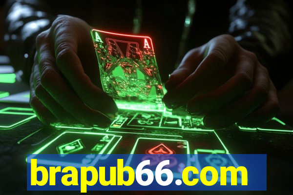 brapub66.com