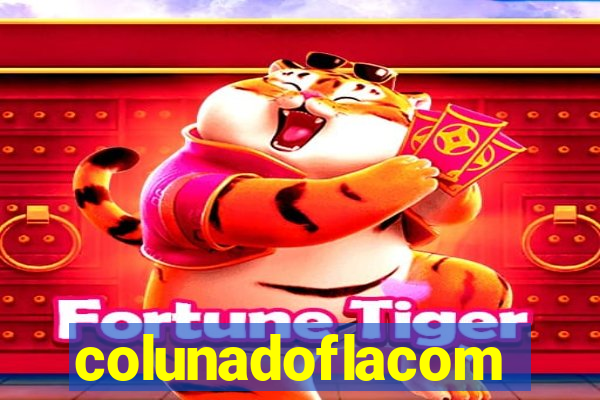 colunadoflacom