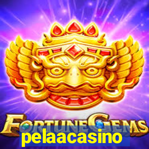 pelaacasino