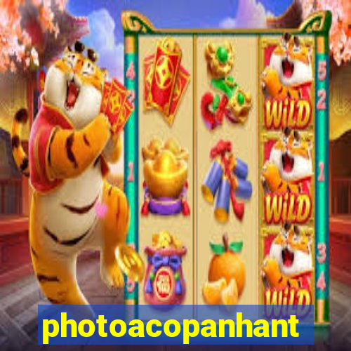 photoacopanhante.