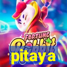 pitaya-bet