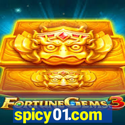 spicy01.com