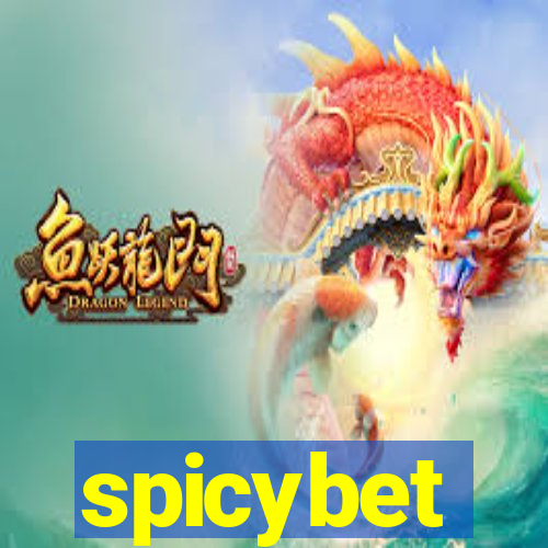 spicybet-3.com