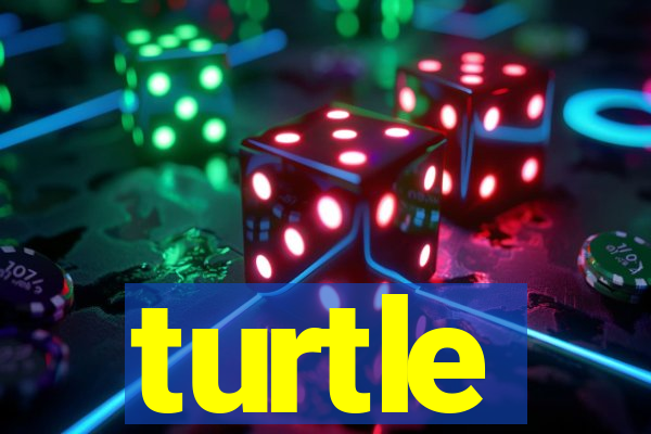turtle-ty.com