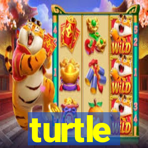 turtle-ty.com
